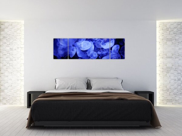Obraz - Medúzy (170x50 cm)