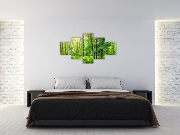 Obraz - Jarní listnatý les (125x70 cm)