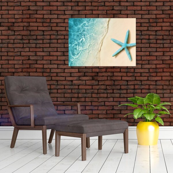 Obraz - Hvězdice na pláži (70x50 cm)