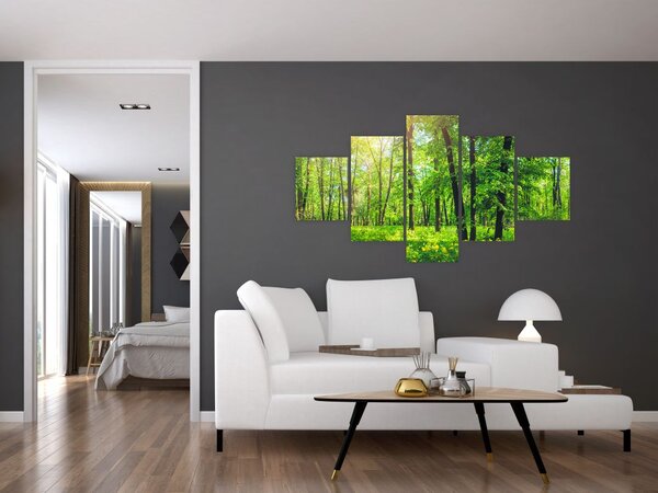 Obraz - Jarní listnatý les (125x70 cm)