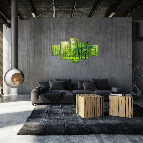 Obraz - Jarní listnatý les (125x70 cm)