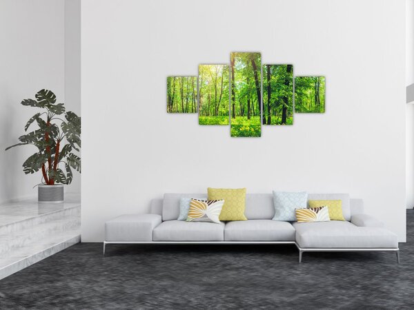 Obraz - Jarní listnatý les (125x70 cm)