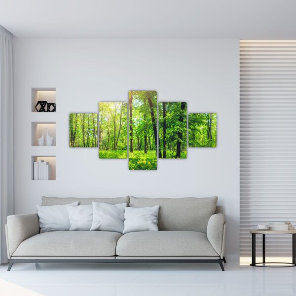 Obraz - Jarní listnatý les (125x70 cm)