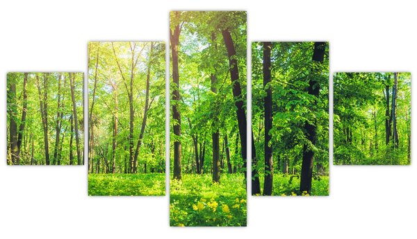 Obraz - Jarní listnatý les (125x70 cm)