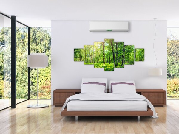 Obraz - Jarní listnatý les (210x100 cm)