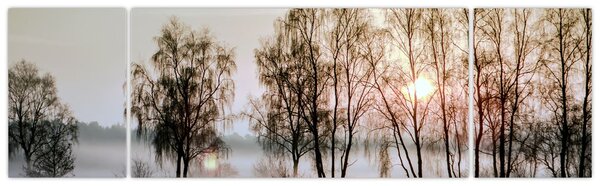Obraz - Ranní sychravost (170x50 cm)