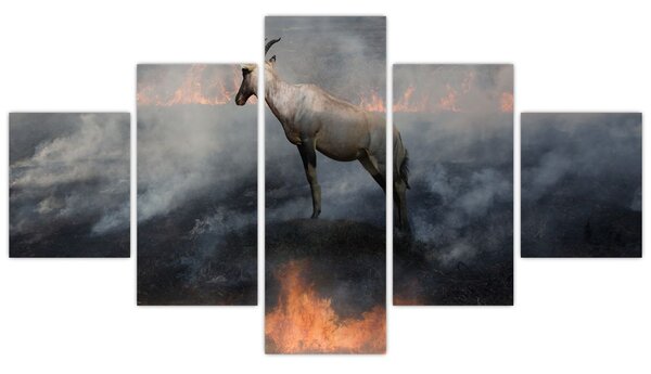 Obraz kamzíka v ohni (125x70 cm)