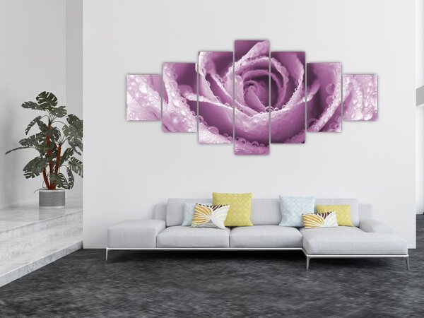 Obraz detailu květu růže (210x100 cm)