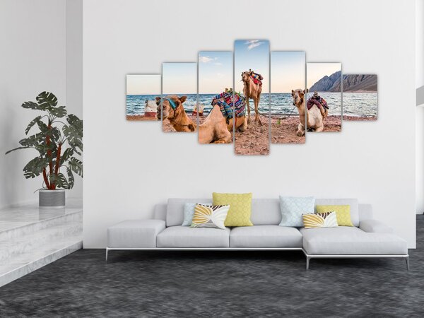 Obraz velbloudů (210x100 cm)