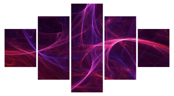 Abstraktní obraz křivek (125x70 cm)