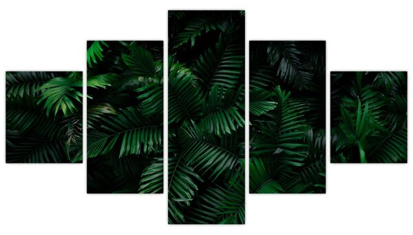 Obraz - Tropické kapradí (125x70 cm)
