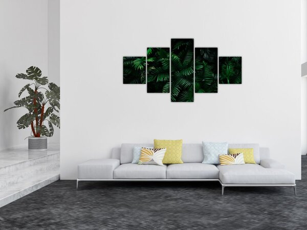 Obraz - Tropické kapradí (125x70 cm)