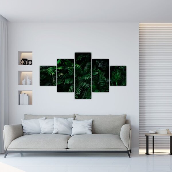 Obraz - Tropické kapradí (125x70 cm)