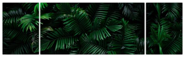 Obraz - Tropické kapradí (170x50 cm)
