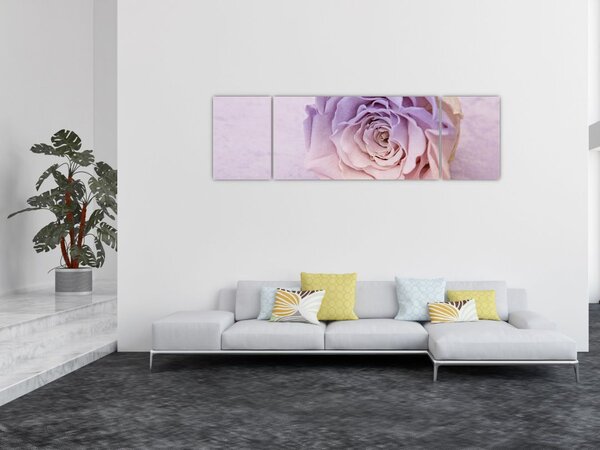 Obraz detailu květu růže (170x50 cm)