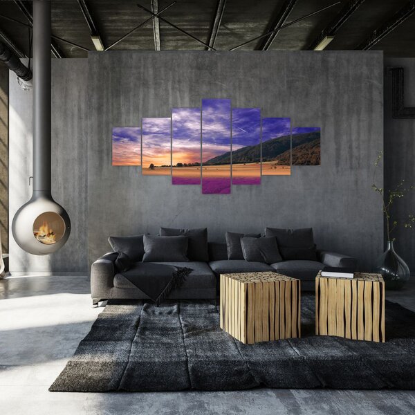 Obraz levandulové louky (210x100 cm)