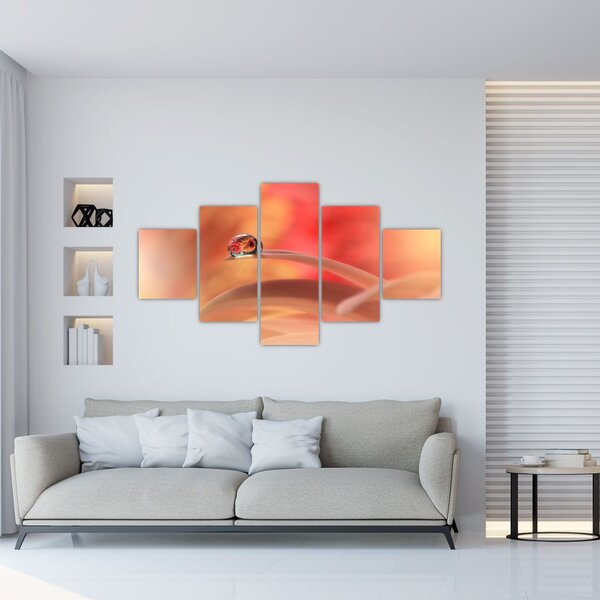 Obraz květinové kapky rosy (125x70 cm)