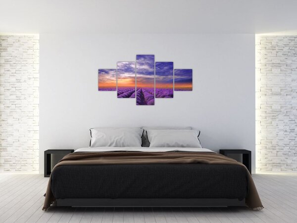 Obraz levandulového pole (125x70 cm)