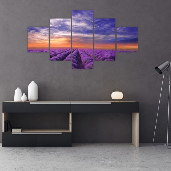 Obraz levandulového pole (125x70 cm)