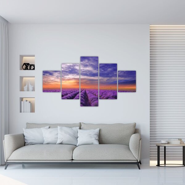 Obraz levandulového pole (125x70 cm)