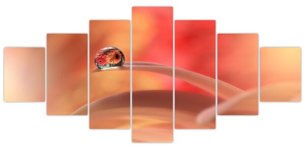 Obraz květinové kapky rosy (210x100 cm)