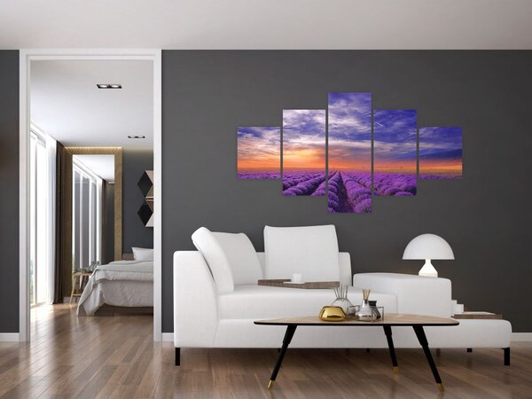 Obraz levandulového pole (125x70 cm)