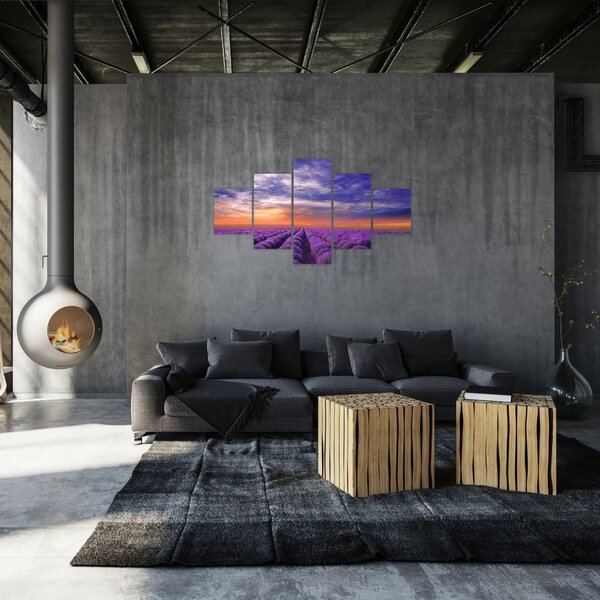 Obraz levandulového pole (125x70 cm)