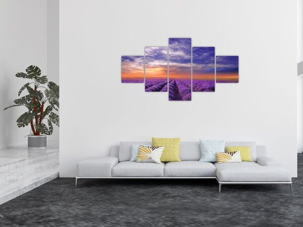 Obraz levandulového pole (125x70 cm)