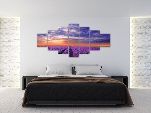 Obraz levandulového pole (210x100 cm)