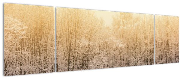 Obraz mrazivého lesa (170x50 cm)