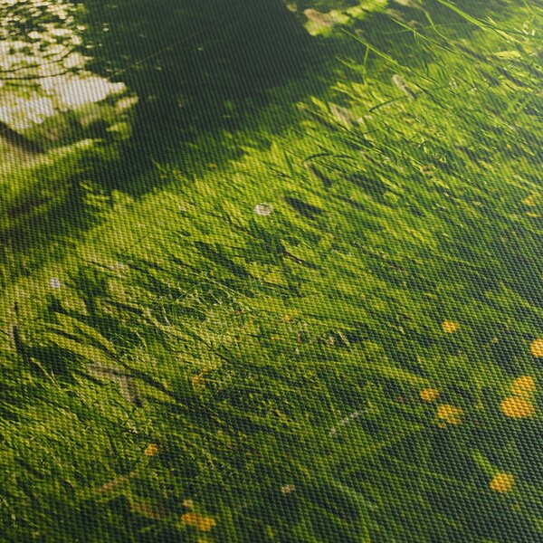 Obraz přírody - louka (170x50 cm)