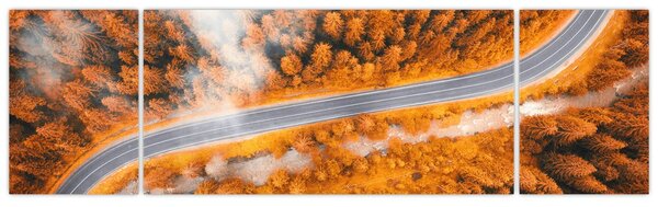 Obraz - Horská silnice (170x50 cm)