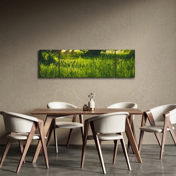 Obraz přírody - louka (170x50 cm)