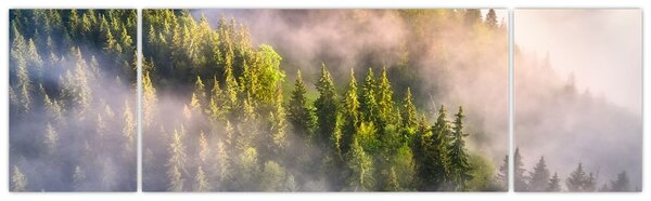 Obraz horské krajiny (170x50 cm)