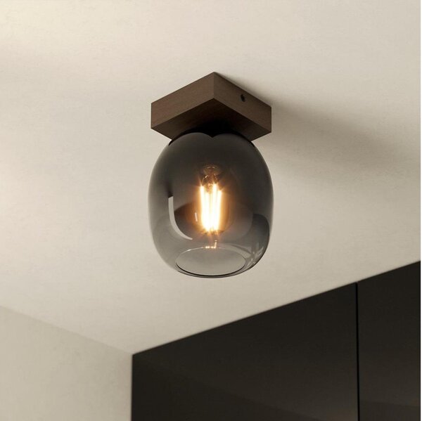Eglo 900825 - Stropní svítidlo FILAGO 1xE27/40W/230V