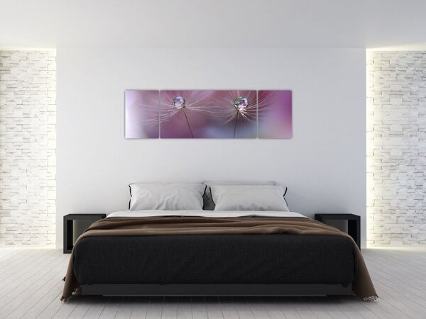 Obraz kapiček na chmýří (170x50 cm)