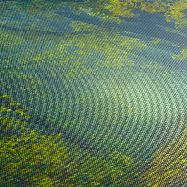 Obraz cesty lemované stromy (210x100 cm)