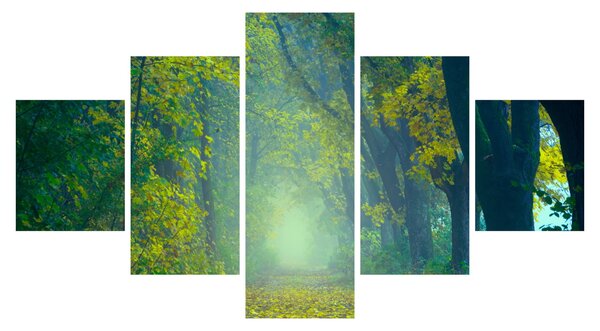 Obraz cesty lemované stromy (125x70 cm)