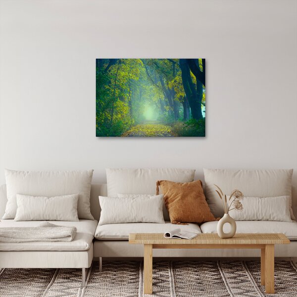 Obraz cesty lemované stromy (70x50 cm)