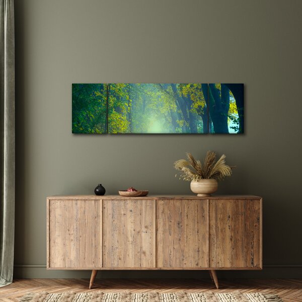 Obraz cesty lemované stromy (170x50 cm)