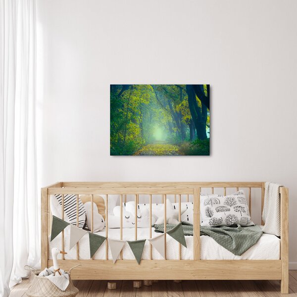Obraz cesty lemované stromy (70x50 cm)