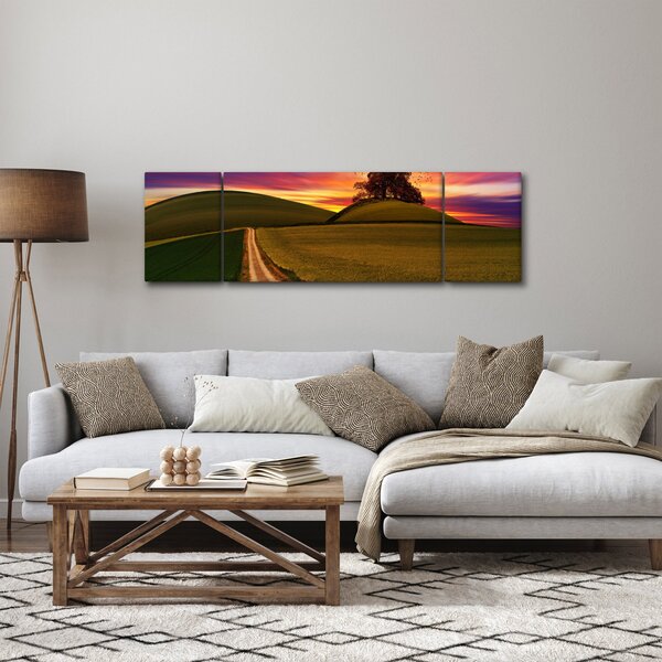 Obraz pole se západem slunce (170x50 cm)