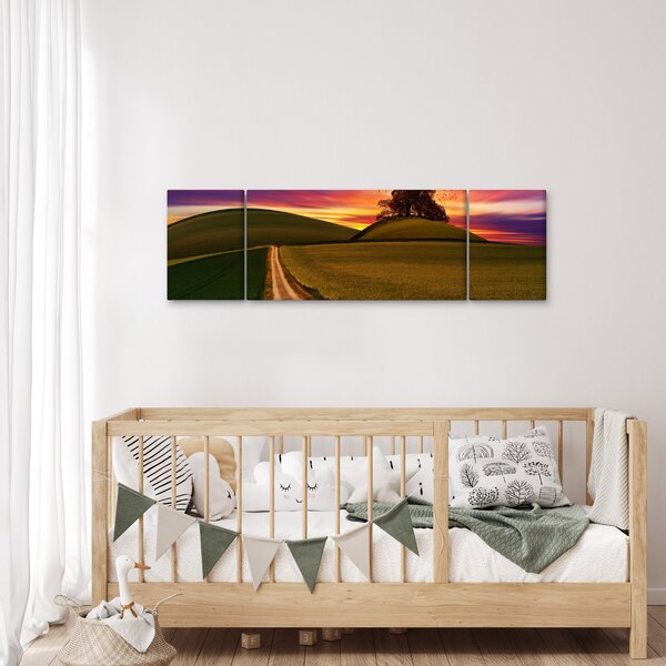 Obraz pole se západem slunce (170x50 cm)