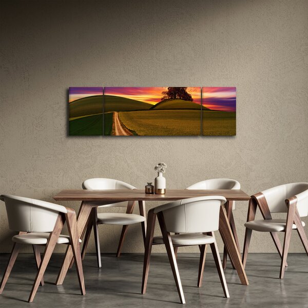 Obraz pole se západem slunce (170x50 cm)
