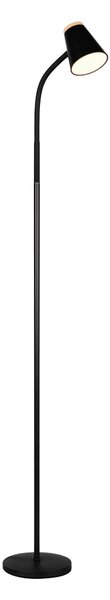 STOJACÍ LED SVÍTIDLO, 145/19,5/37 cm - Stojací lampy