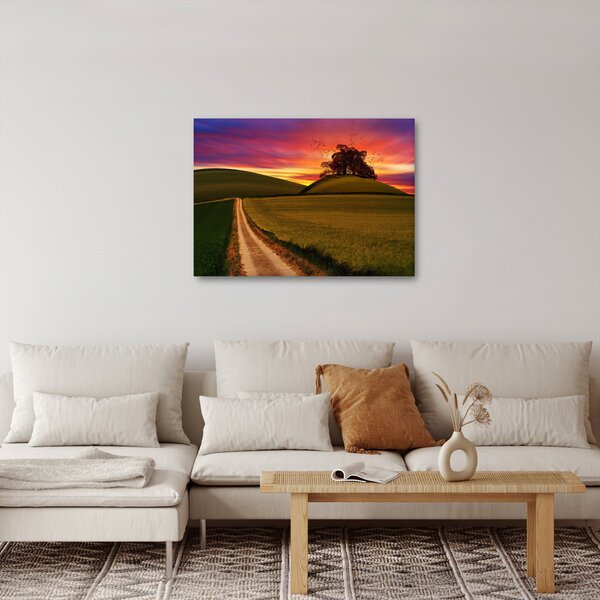 Obraz pole se západem slunce (70x50 cm)