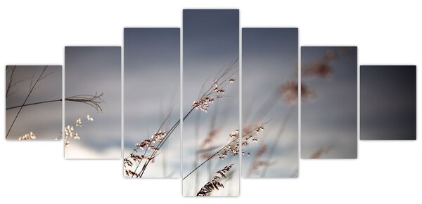 Obraz - Luční kvítí u jezera (210x100 cm)