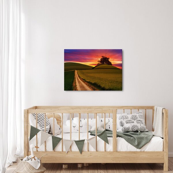 Obraz pole se západem slunce (70x50 cm)