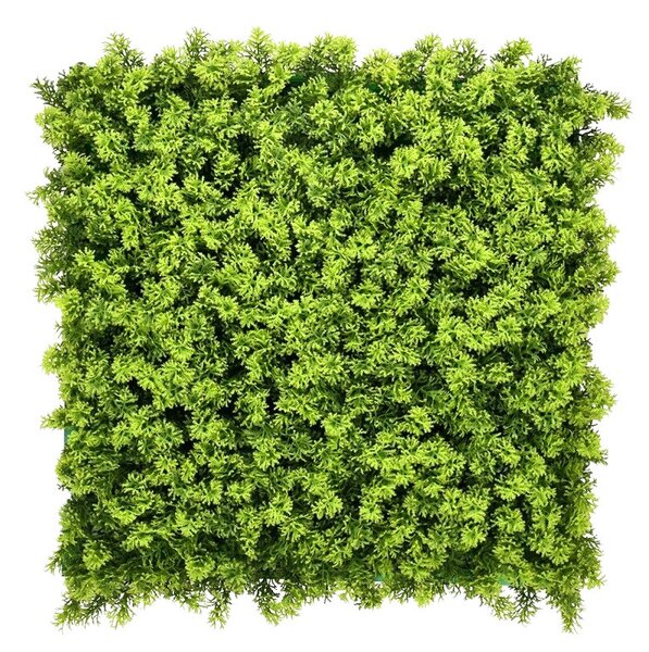Europe Grass Umělý rostlinný panel MARIE MOSS 100 x 100 cm - Panel 100x100