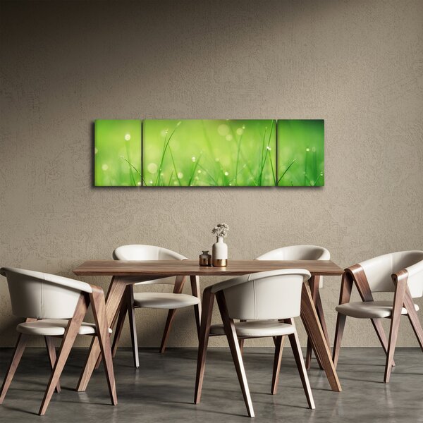 Obraz - rosa na trávě (170x50 cm)